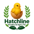 Hatchline Poultry